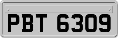 PBT6309