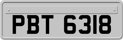 PBT6318