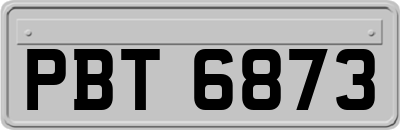 PBT6873