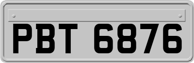 PBT6876