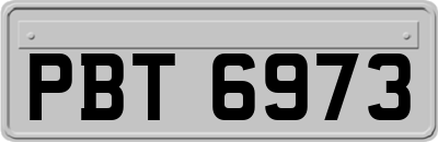 PBT6973