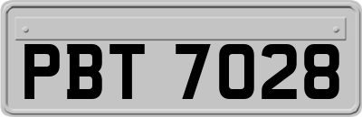 PBT7028