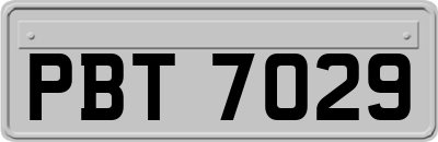 PBT7029