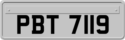 PBT7119