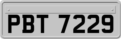 PBT7229