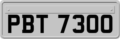 PBT7300