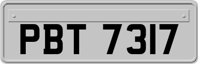 PBT7317