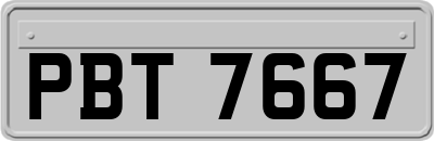 PBT7667