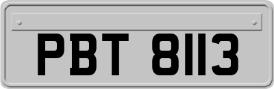 PBT8113
