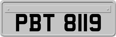 PBT8119