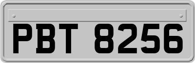 PBT8256