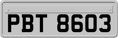 PBT8603