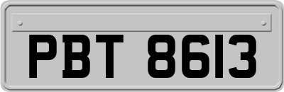 PBT8613