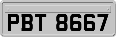 PBT8667