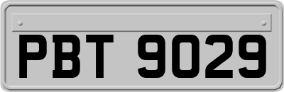 PBT9029