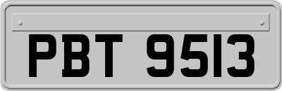 PBT9513