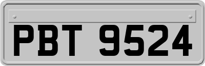 PBT9524