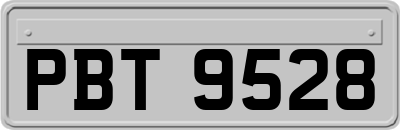 PBT9528