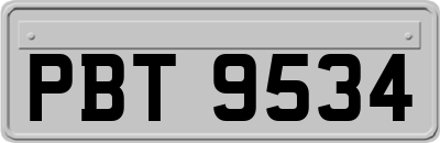 PBT9534