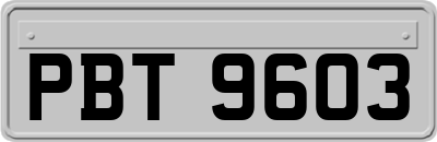 PBT9603