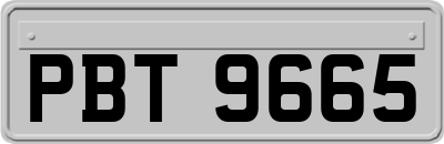 PBT9665