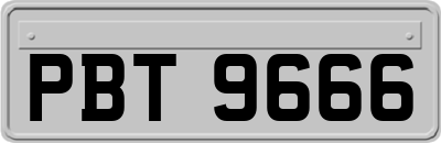 PBT9666