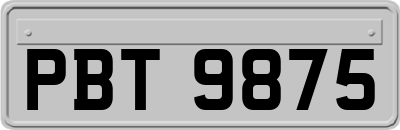 PBT9875