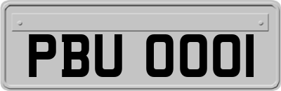 PBU0001