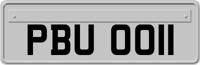 PBU0011