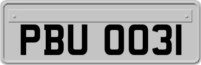 PBU0031