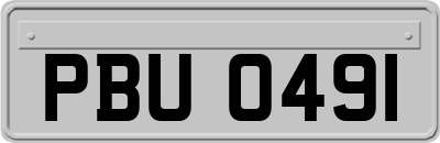 PBU0491