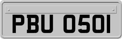 PBU0501