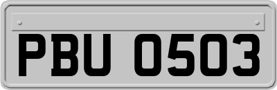 PBU0503