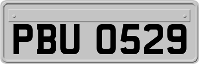 PBU0529