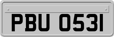 PBU0531