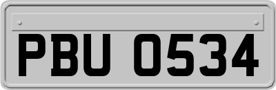 PBU0534