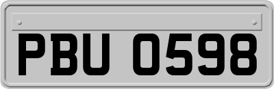 PBU0598