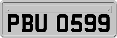 PBU0599