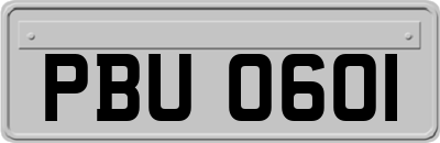 PBU0601