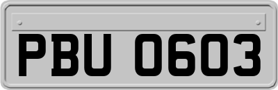 PBU0603