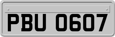 PBU0607