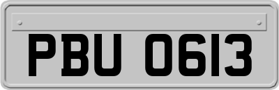 PBU0613