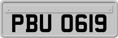 PBU0619