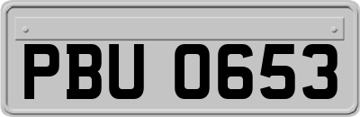 PBU0653