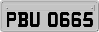 PBU0665