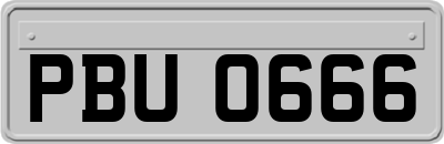 PBU0666