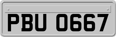 PBU0667