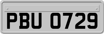 PBU0729