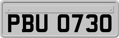 PBU0730