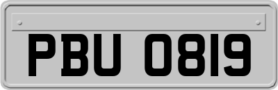 PBU0819